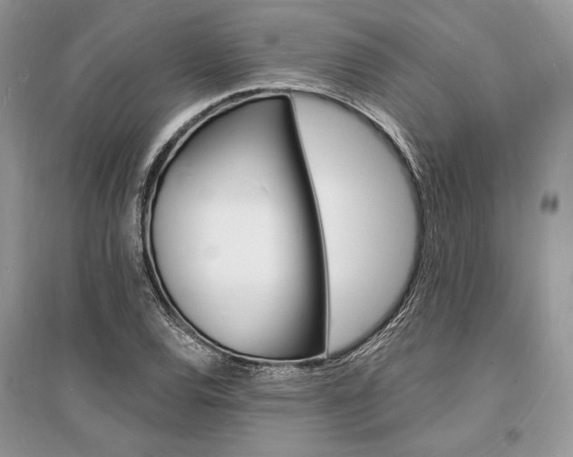 X0000096391120200801241110