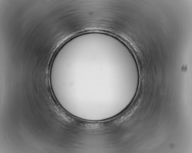 X0000096391121200801241110