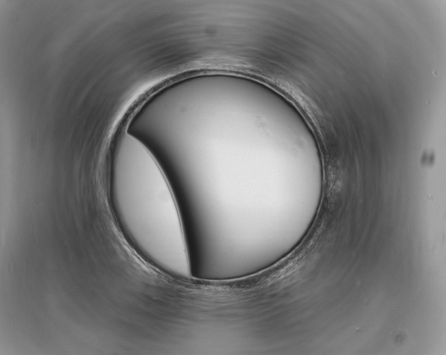X0000096391123200801241110