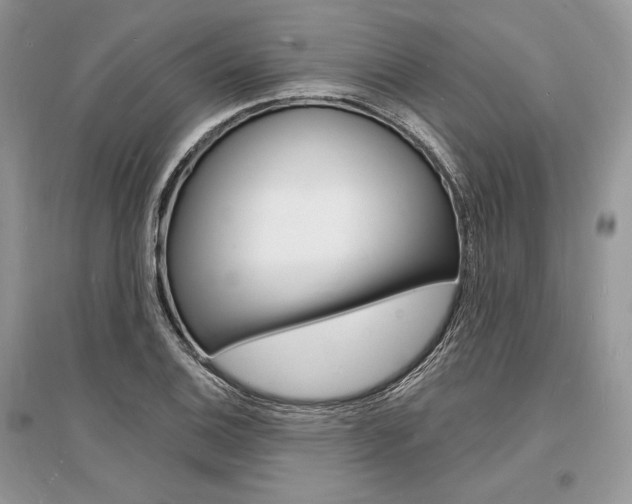 X0000096391124200801241110