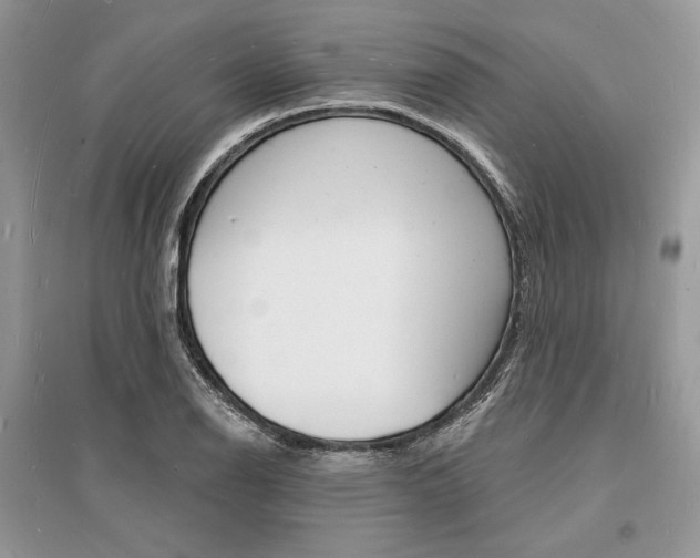 X0000096391126200801241110