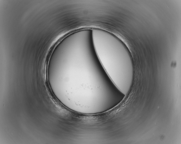 X0000096391127200801241110