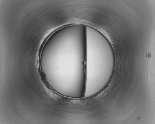 X0000096391128200801241110