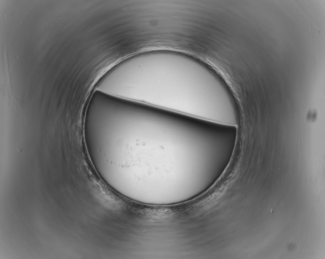 X0000096391129200801241110