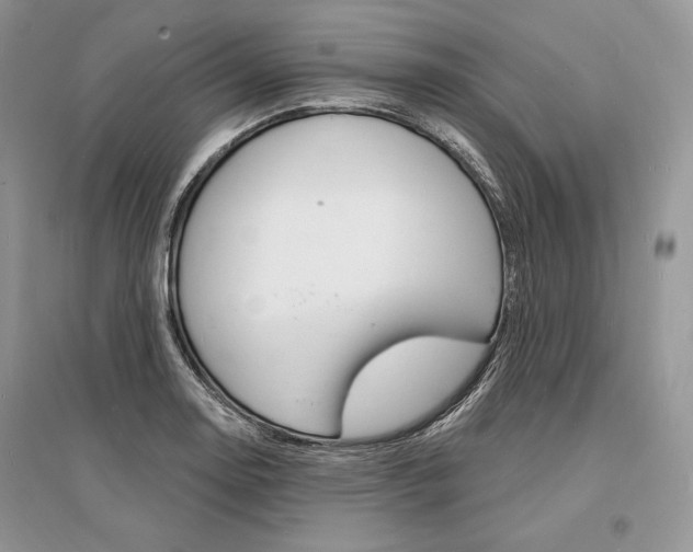 X0000096391130200801241110