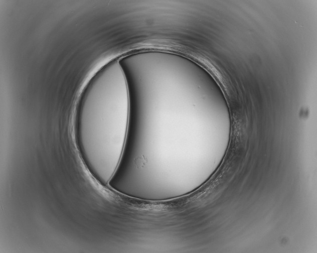 X0000096391131200801241110
