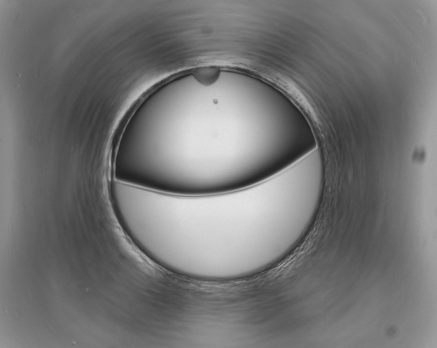 X0000096391132200801241110