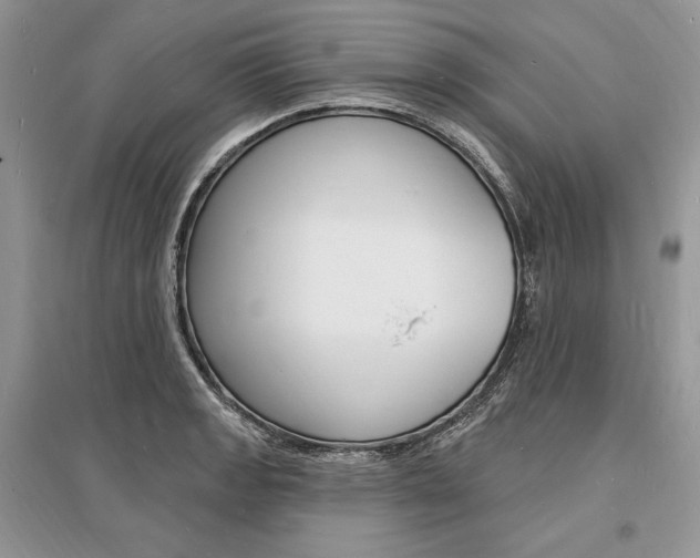 X0000096391133200801241110