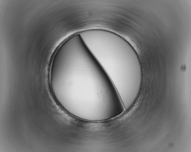 X0000096391134200801241110