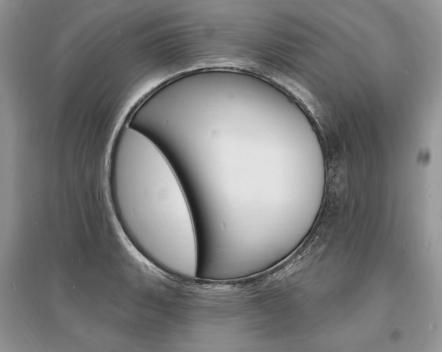X0000096391135200801241110
