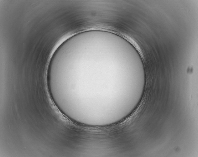 X0000096391138200801241110