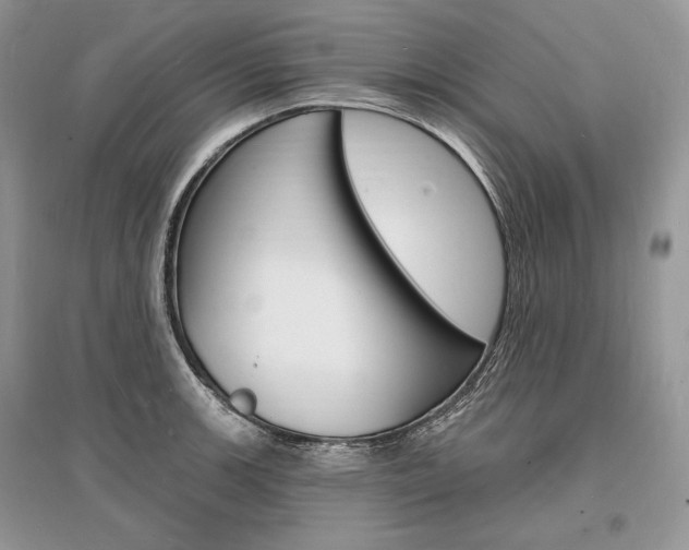 X0000096391139200801241110