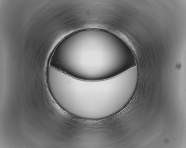 X0000096391140200801241110