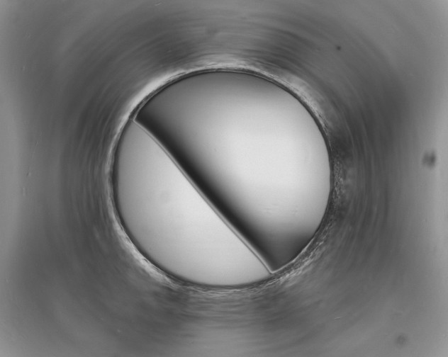 X0000096391142200801241110