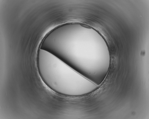 X0000096391143200801241110