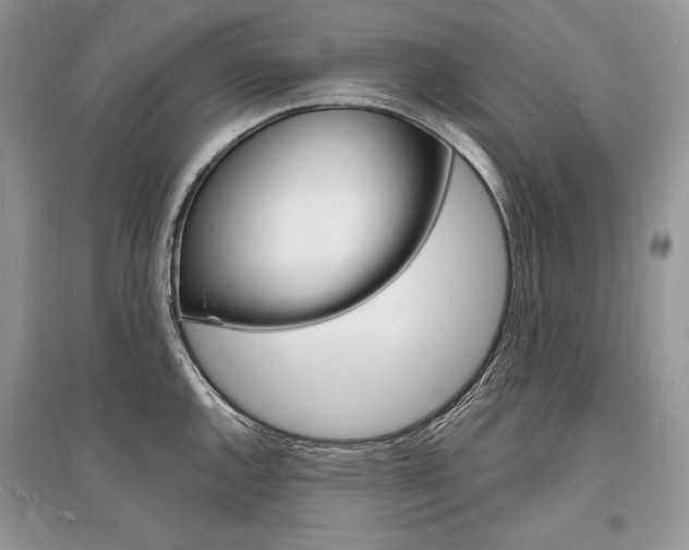 X0000096391144200801241110