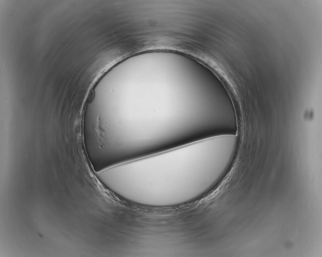 X0000096391145200801241110