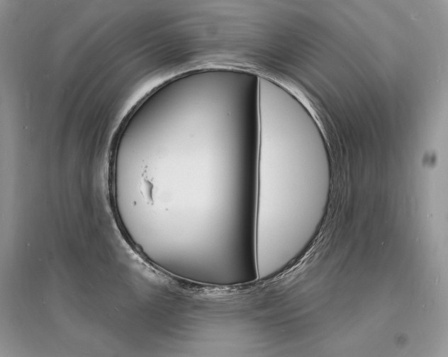 X0000096391147200801241110