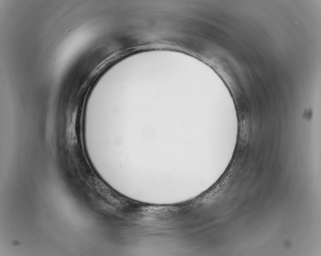 X0000096391150200801241110