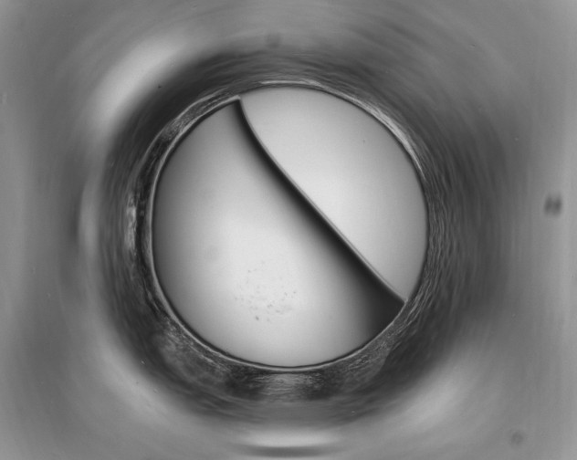 X0000096391151200801241110