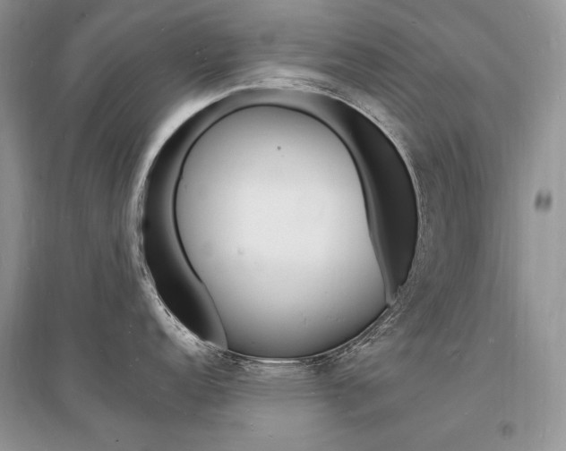X0000096391152200801241110