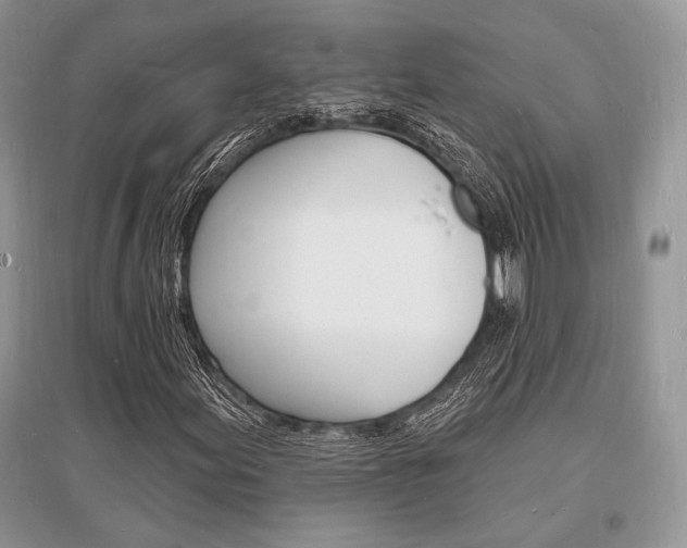 X0000096391155200801241110