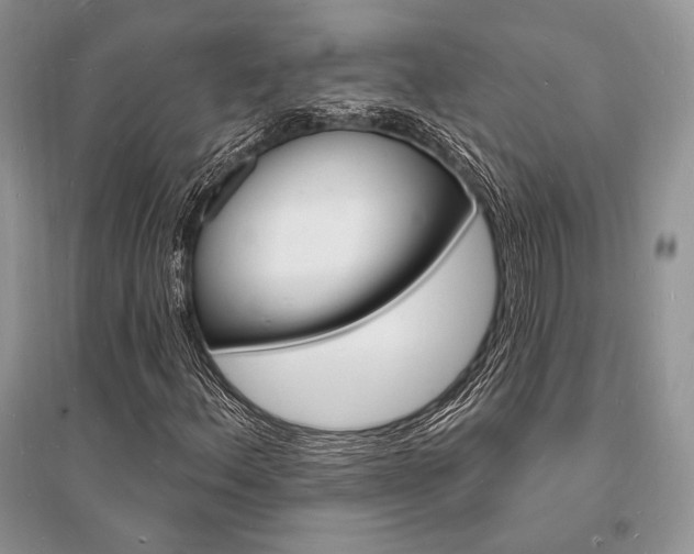 X0000096391156200801241110
