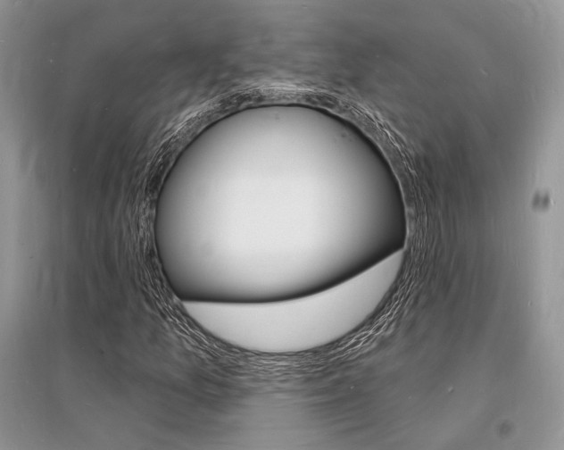 X0000096391157200801241110