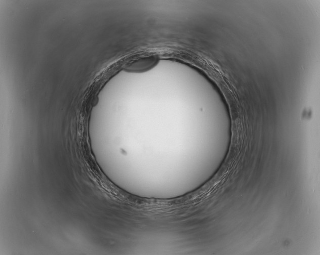 X0000096391158200801241110