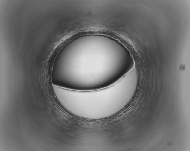 X0000096391160200801241110