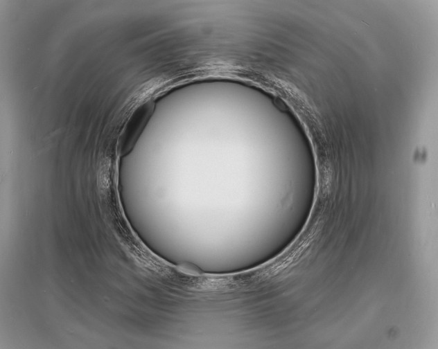 X0000096391161200801241110