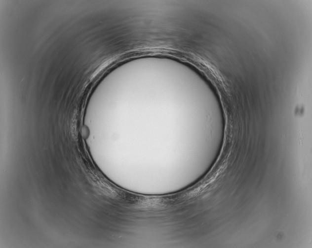 X0000096391162200801241110