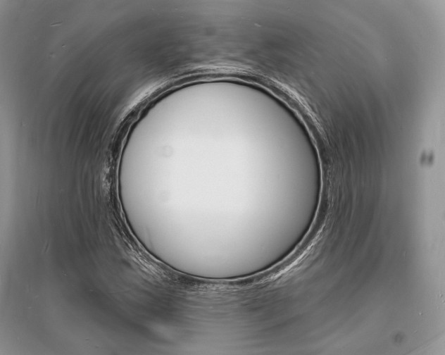 X0000096391163200801241110
