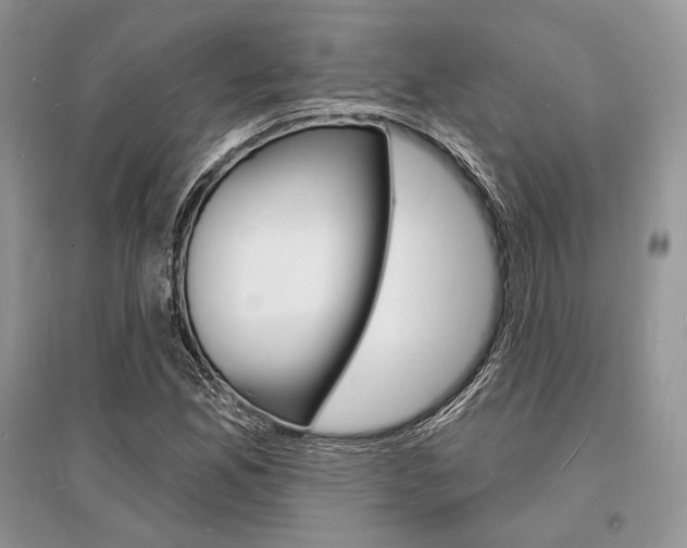 X0000096391165200801241110