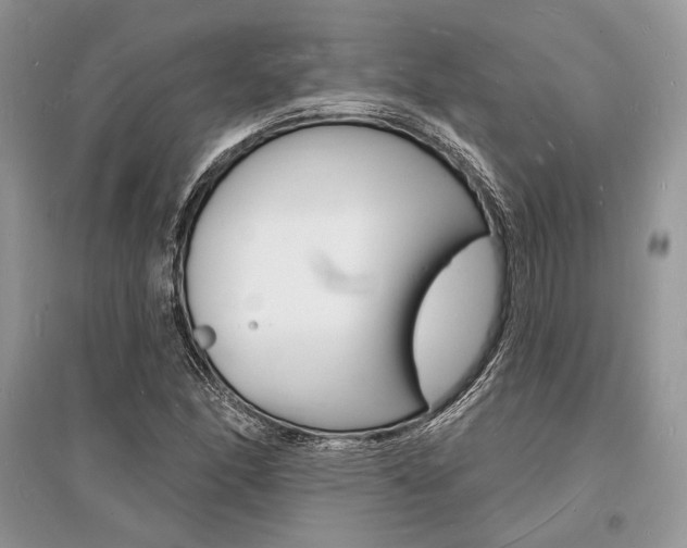 X0000096391166200801241110