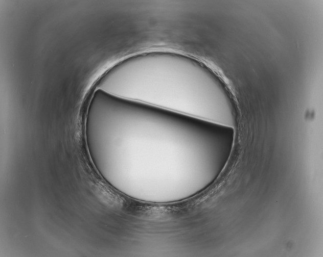 X0000096391167200801241110