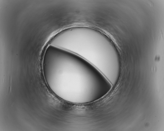 X0000096391168200801241110