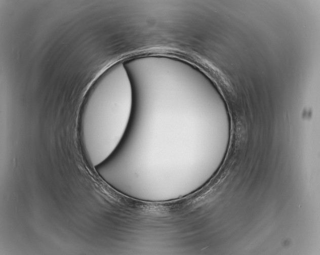 X0000096391170200801241110