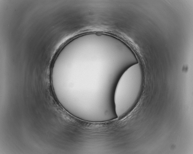 X0000096391174200801241110