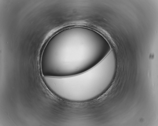 X0000096391176200801241110