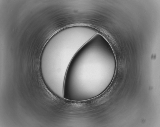 X0000096391177200801241110