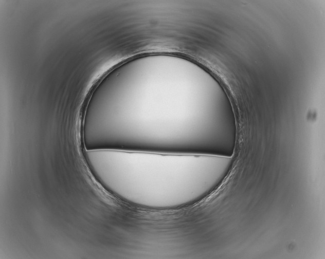 X0000096391179200801241109