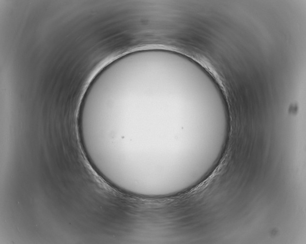 X0000096391181200801241109