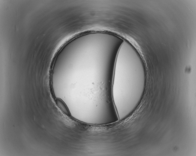X0000096391183200801241109