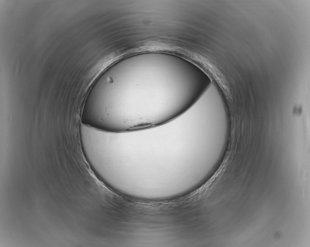 X0000096391185200801241109