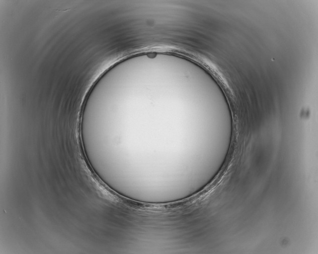 X0000096391186200801241109