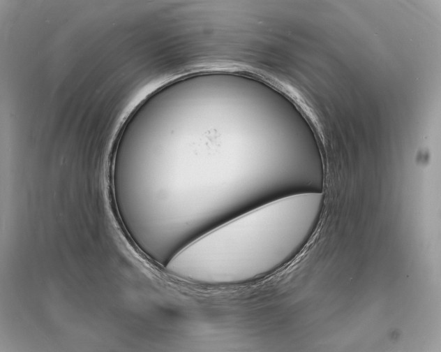 X0000096391187200801241109