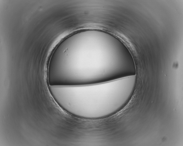 X0000096391188200801241109