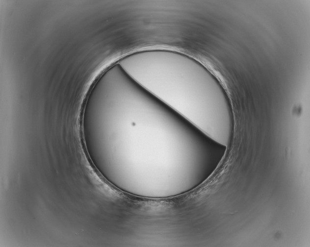X0000096391189200801241109