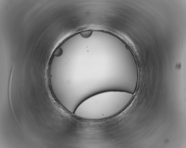 X0000096391190200801241109